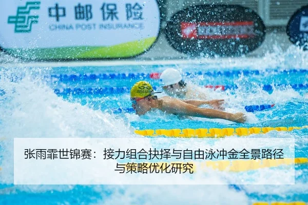zhang-yu-fei-shi-jin-sai-jie-li-zu-he-jue-ze-yu-zi-you-yong-chong-jin-quan-jing-lu-jing-yu-ce-lve-you-hua-yan-jiu-2-382.jpg